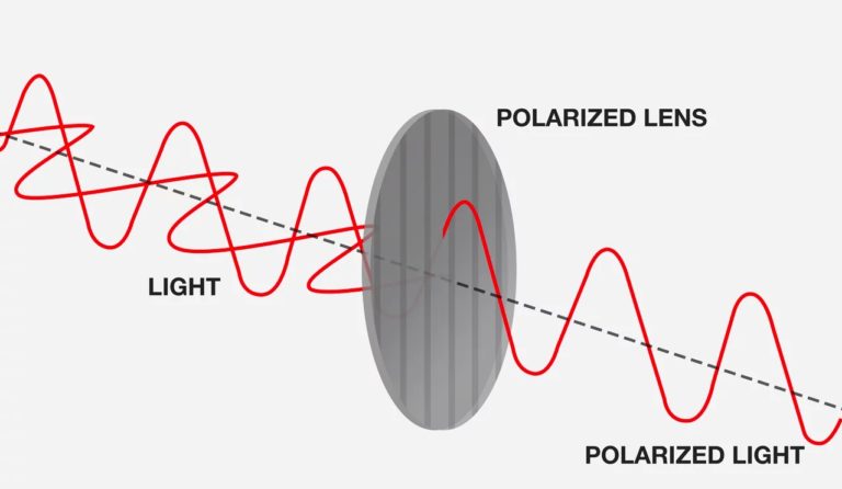 Polarized meaning